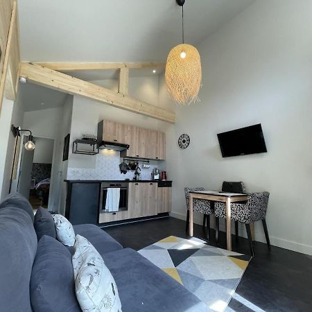 Ginkobiloba : Appartement Cosy En Coeur De Ville Bagnères-de-Bigorre Exteriér fotografie