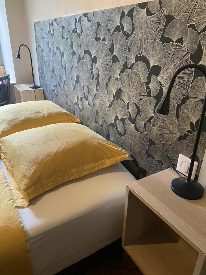 Ginkobiloba : Appartement Cosy En Coeur De Ville Bagnères-de-Bigorre Exteriér fotografie